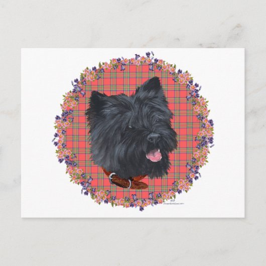 Black Cairn Head Studie Briefkaart (Voorkant)