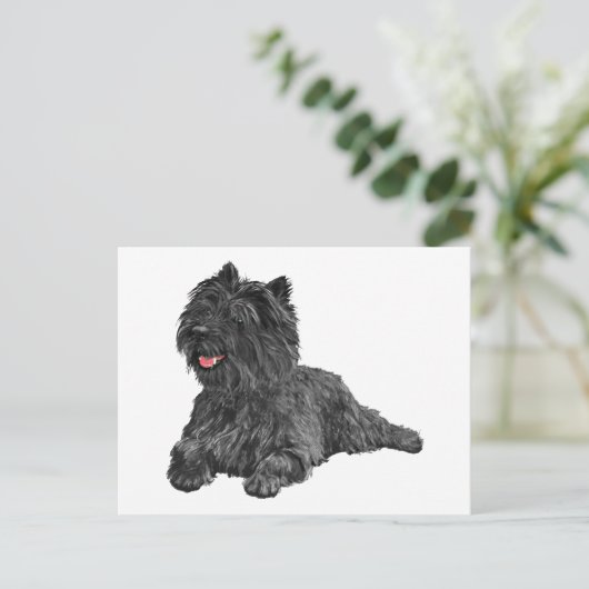 Black Cairn Terrier Briefkaart (Staand voorkant)