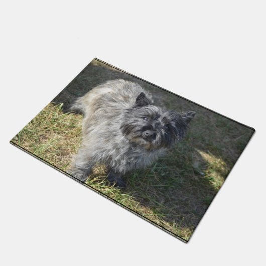 Black Cairn Terrier Deurmat (Schuin)