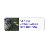 Black Cairn Terrier Etiket (Voorkant)