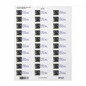 Black Cairn Terrier Etiket (Full Sheet)