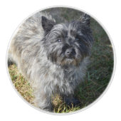 Black Cairn Terrier Keramische Knop (Voorkant)