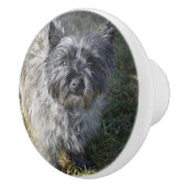 Black Cairn Terrier Keramische Knop (Rechts)