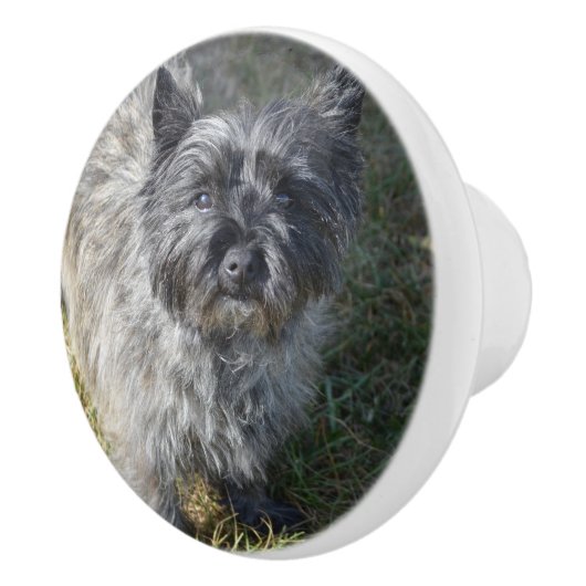Black Cairn Terrier Keramische Knop (Rechts)