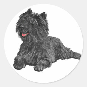 Black Cairn Terrier Ronde Sticker