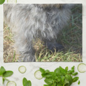 Black Cairn Terrier Theedoek (Gevouwen)