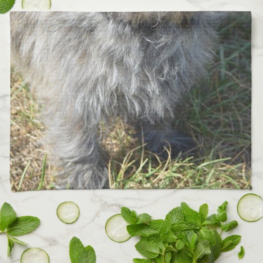 Black Cairn Terrier Theedoek (Gevouwen)