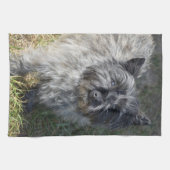 Black Cairn Terrier Theedoek (Horizontaal)