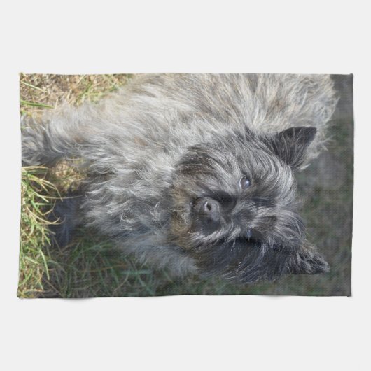 Black Cairn Terrier Theedoek (Horizontaal)