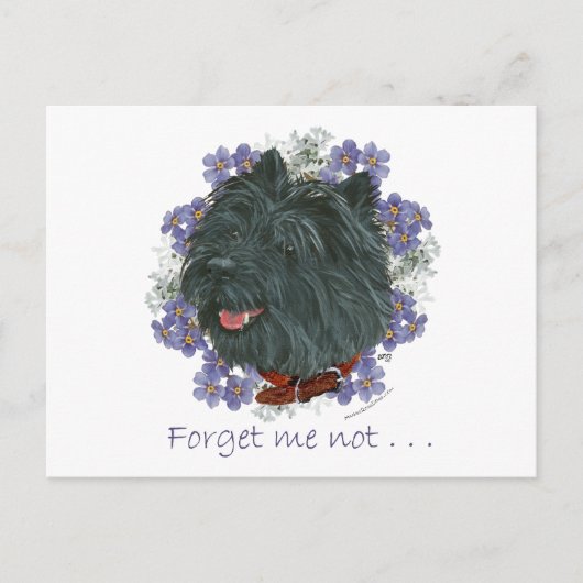 Black Cairn Terrier Vergeet me-niet Briefkaart (Voorkant)