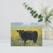 Black Calf in a Field of Sunflowers Briefkaart (Staand voorkant)