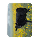 Black Calf in a Field of Sunflowers Magneet (Verticaal)