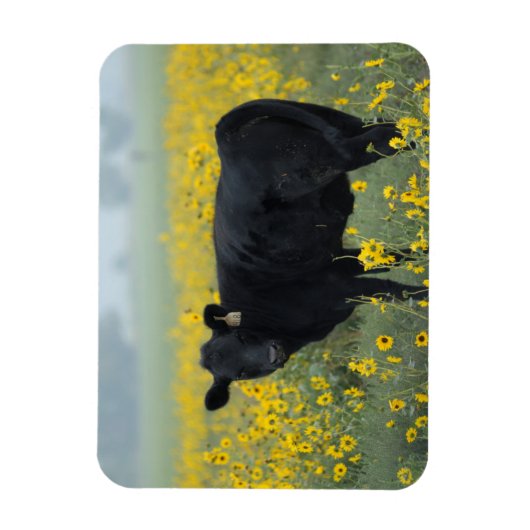 Black Calf in a Field of Sunflowers Magneet (Verticaal)