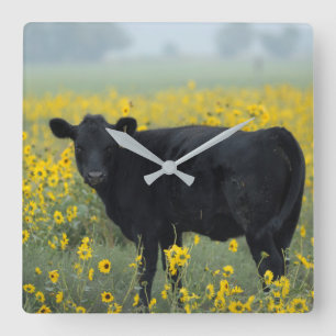 Black Calf in a Field of Sunflowers Vierkante Klok