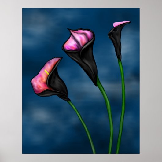 Black Calla Lilies Pink Center Poster (Voorkant)