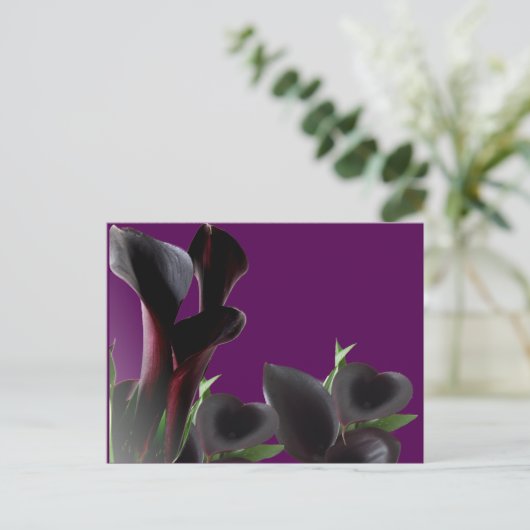 Black Calla Lily Flowers Briefkaart (Staand voorkant)