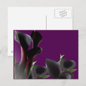 Black Calla Lily Flowers Briefkaart (Voorkant / Achterkant)