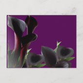 Black Calla Lily Flowers Briefkaart (Voorkant)