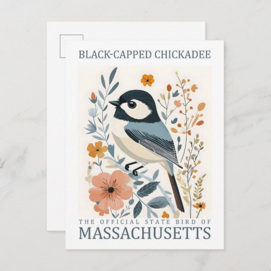Black Capped Chickadee Bird uit Massachusetts, Ver Briefkaart (Voorkant / Achterkant)