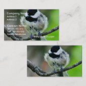 Black Capped Chickadee Bird Visitekaartje (Voorkant / Achterkant)
