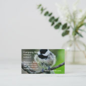 Black Capped Chickadee Bird Visitekaartje (Staand voorkant)