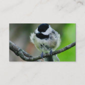 Black Capped Chickadee Bird Visitekaartje (Achterkant)