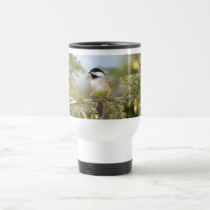 Black Capped Chickadee Birder Reisbeker