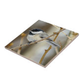 Black Capped Chickadee Ceramic Photo Tile Tegeltje (Zijkant)