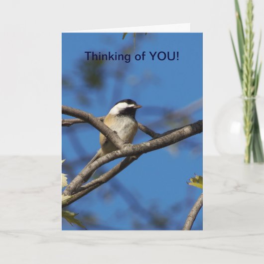 Black-capped Chickadee - Denken aan jou Kaart (Voorkant)