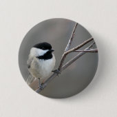 Black Capped Chickadee Foto Ronde Button 5,7 Cm (Voorkant)