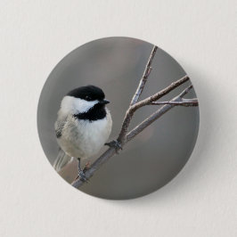 Black Capped Chickadee Foto Ronde Button 5,7 Cm
