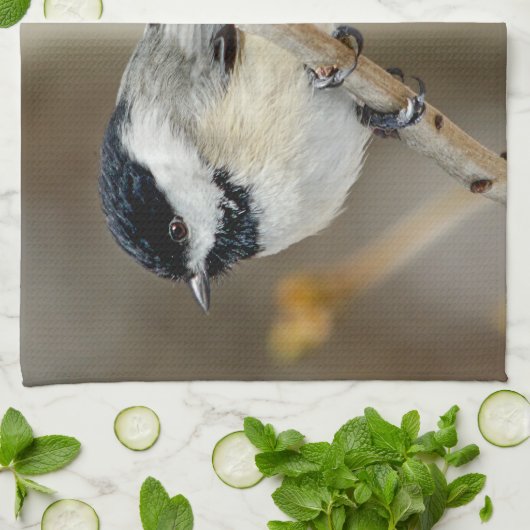 Black Capped Chickadee Kitchen Towel Theedoek (Gevouwen)