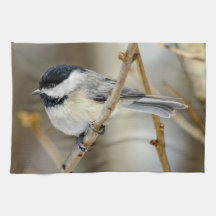 Black Capped Chickadee Kitchen Towel