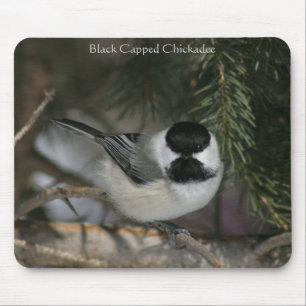 Black Capped Chickadee Mousepad Muismat