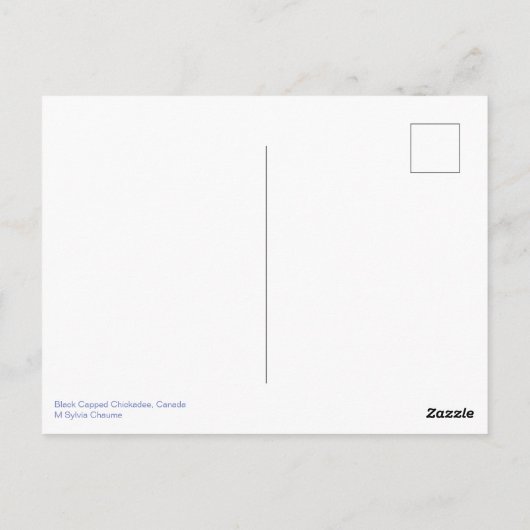 Black Capped Chickadee Perching Birds Canada Briefkaart (Achterkant)