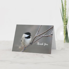 Black Capped Chickadee Photo Bedankkaart