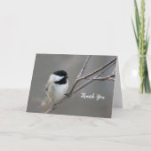 Black Capped Chickadee Photo Bedankkaart (Voorkant)