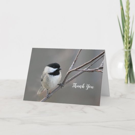 Black Capped Chickadee Photo Bedankkaart (Voorkant)