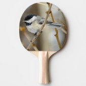 Black Capped Chickadee Ping Pong Paddle Tafeltennisbatje (Voorkant)