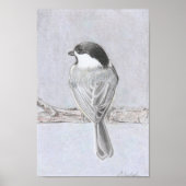 Black-Capped Chickadee Poster (Voorkant)
