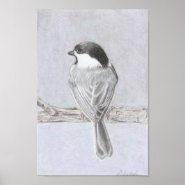 Black-Capped Chickadee Poster