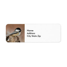 Black Capped Chickadee Sneeuwfoto Etiket