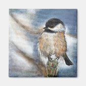 Black Capped Chickadee Song Bird Magneet (Voorkant)