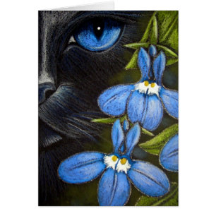 BLACK CAT ACHTER DE LOBELIA-STROOMKaart