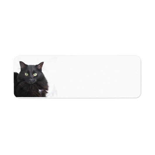 Black Cat Adresetiketten Etiket (Voorkant)