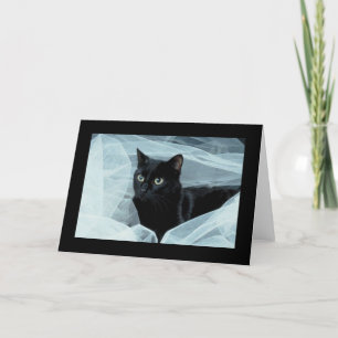 Black Cat All Occasion Card Kaart