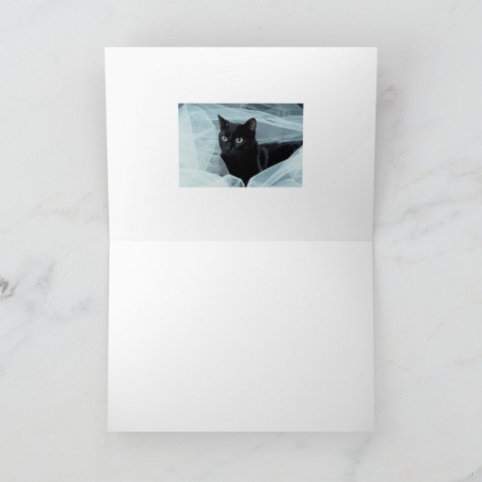 Black Cat All Occasion Kaart (Binnen)