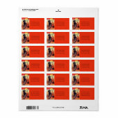 Black Cat and Broom  adreslabel Etiket (Full Sheet)