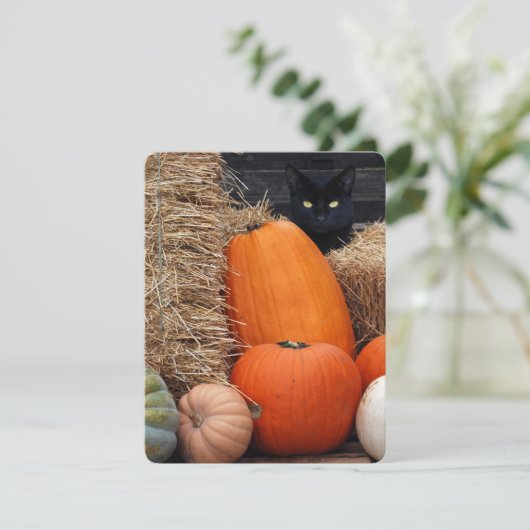 Black Cat and Pumpkins Halloween party Kaart (Staand voorkant)