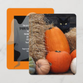 Black Cat and Pumpkins Halloween party Kaart (Voorkant / Achterkant)
